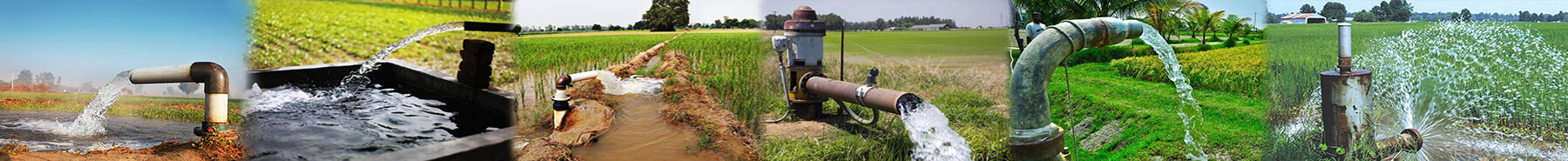 Inner Banner of Consumer Affairs